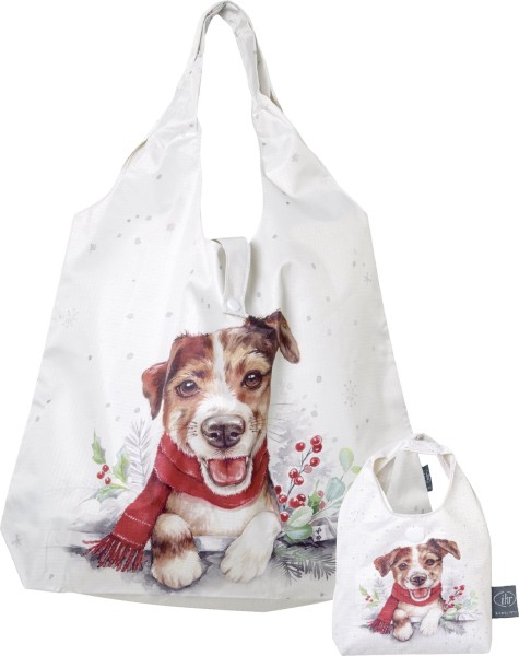 Shopping Bag