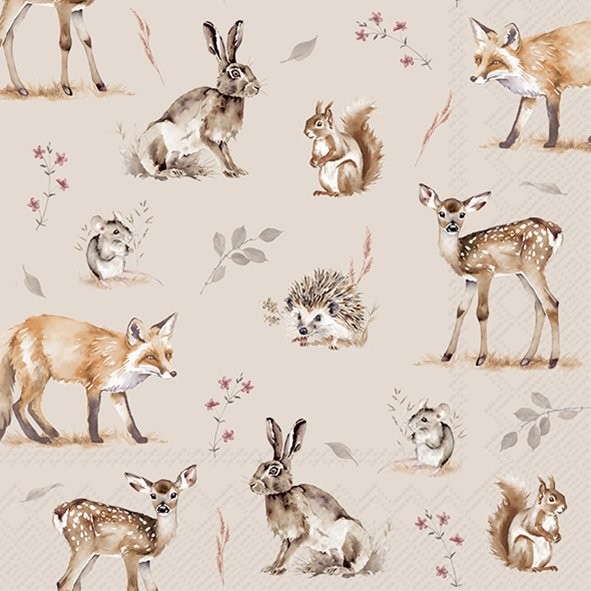 Lunch Napkins
