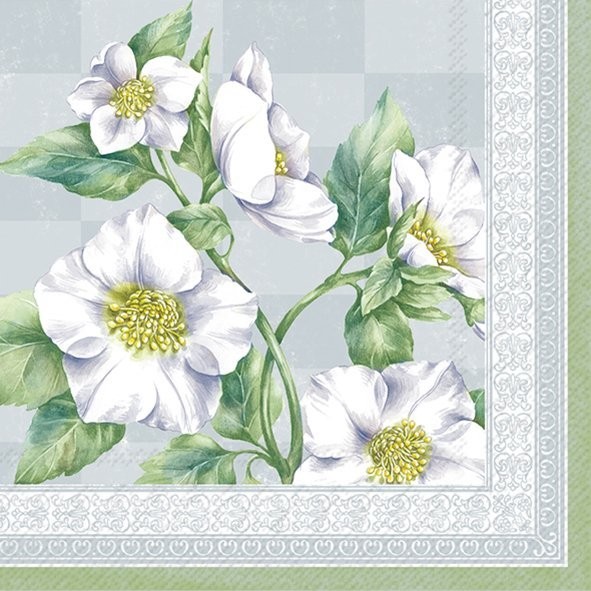 Cocktail Napkins