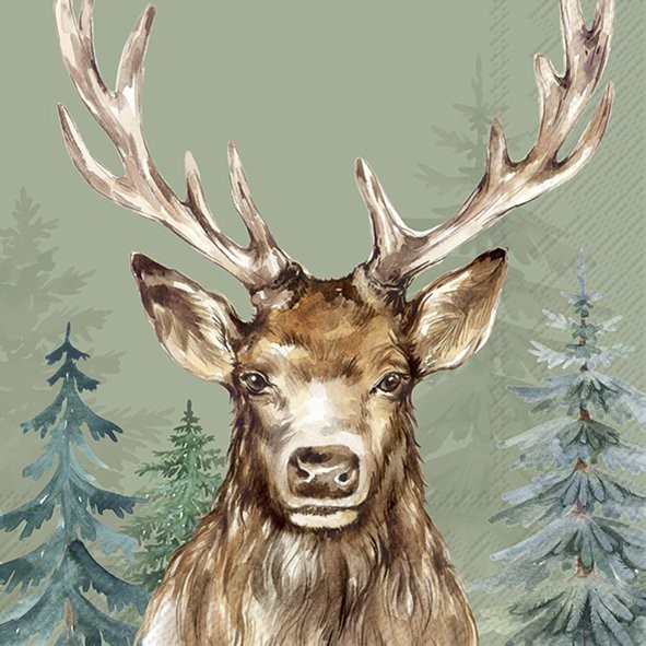 Lunch Napkins