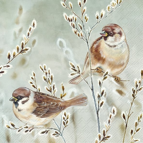 Lunch Napkins