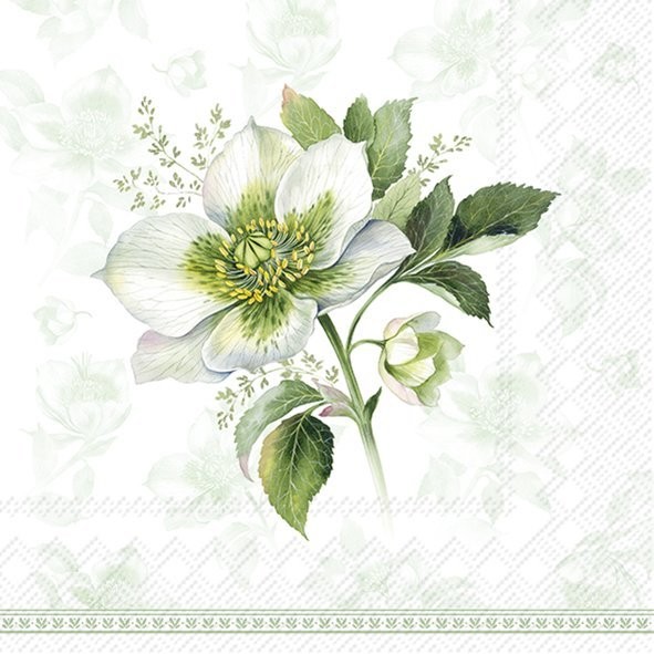 Lunch Napkins