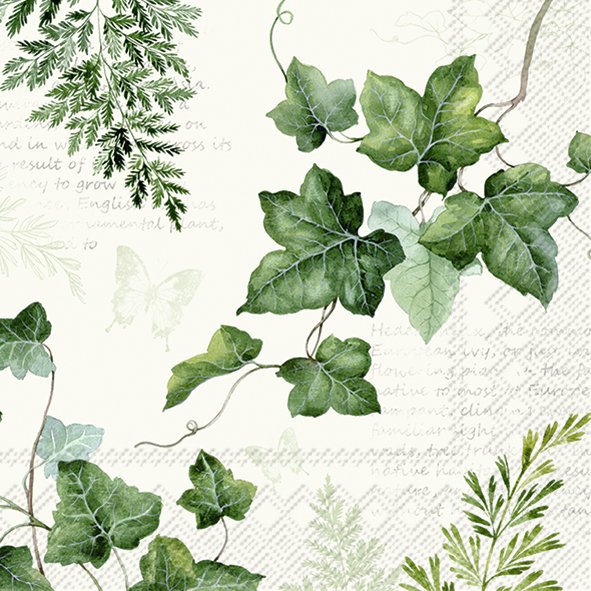 ELWIN Papierservietten Cream – 20 Stück Cocktail-Servietten 25x25 Cm