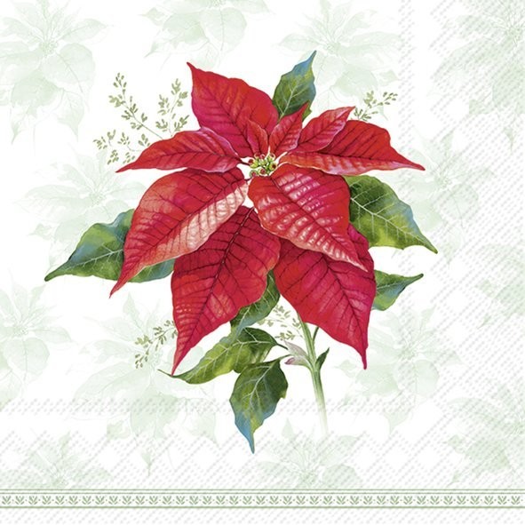 Lunch Napkins
