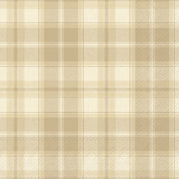 Lunch Napkins