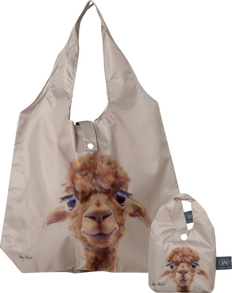 Shopping Bag