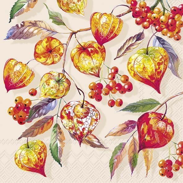 Lunch Napkins