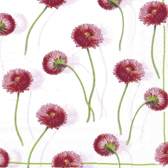 Lunch Napkins