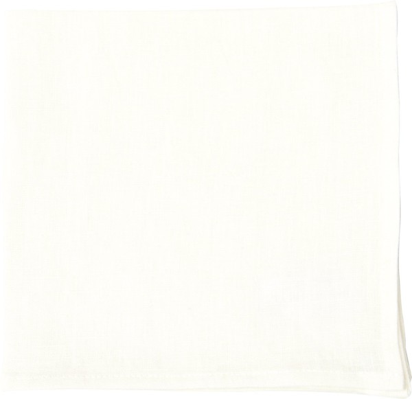 Napkin (Fabric)
