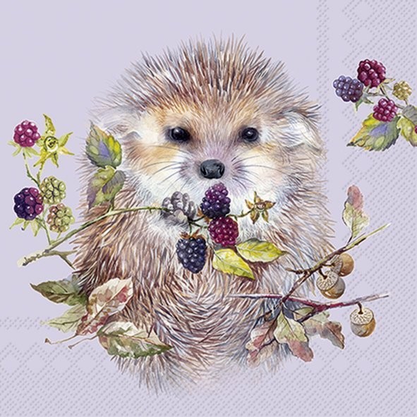 Lunch Napkins