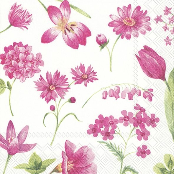 Cocktail Napkins