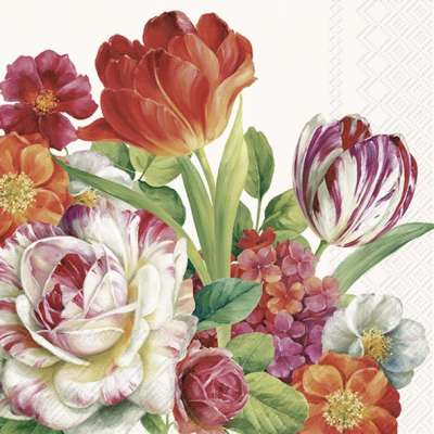 Ideal Home Range 20 Count Rosanne Beck Paper Cocktail Napkins, Cocktail...