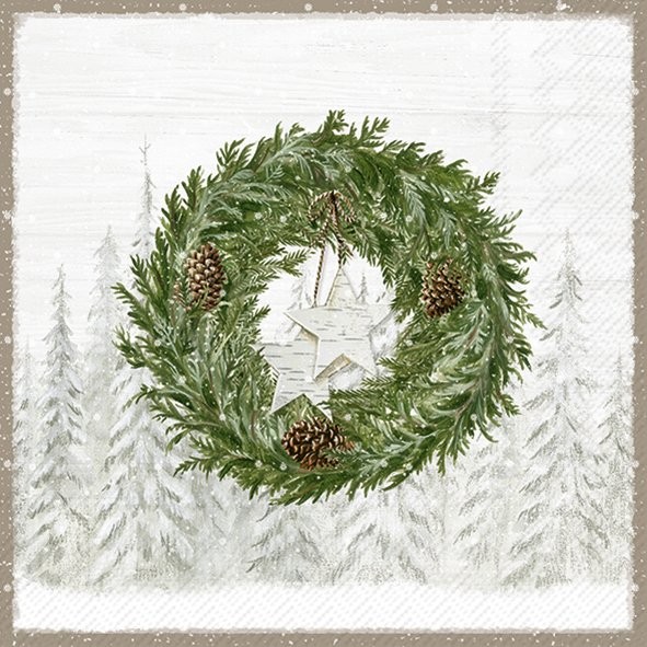 Cocktail Napkins