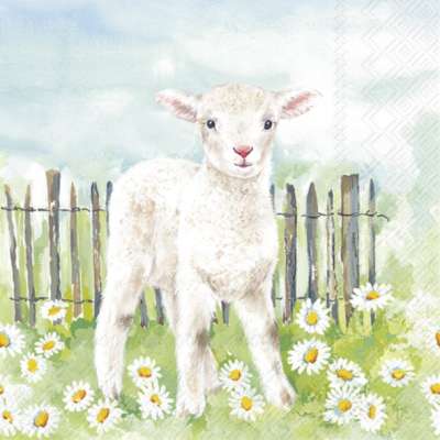 IHR Ostern Servietten – 20 Stück, 33x33 Cm, 3-lagig, Mit Mini-Eiern Design, Creme